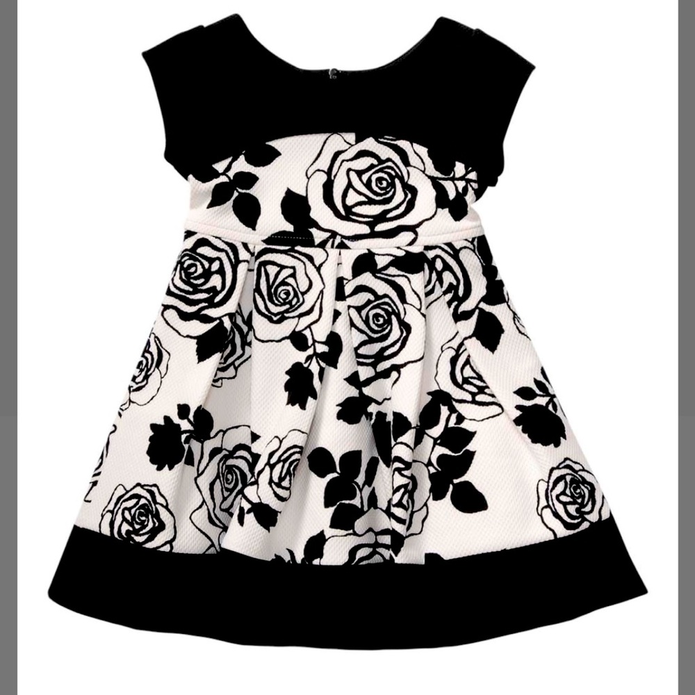 👗Sweet Heart Rose Floral Toddler Dress